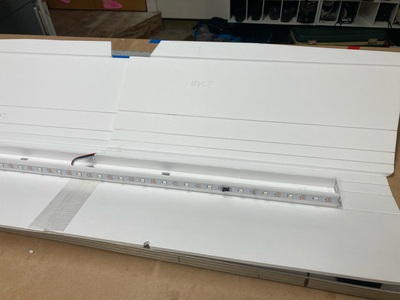 LEDs inside the wing